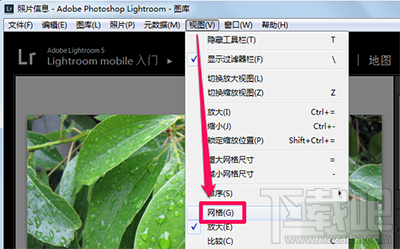 lightroom怎么使用视图模式？