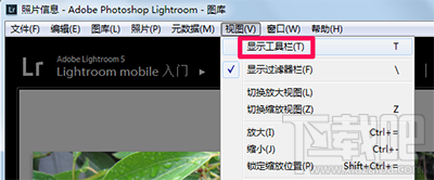 lightroom怎么使用视图模式？