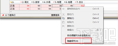 Beyond Compare怎么隐藏文本细节 Beyond Compare显示文本细节方法