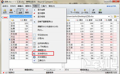 Beyond Compare怎么隐藏文本细节 Beyond Compare显示文本细节方法
