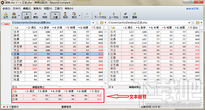 Beyond Compare怎么隐藏文本细节 Beyond Compare显示文本细节方法