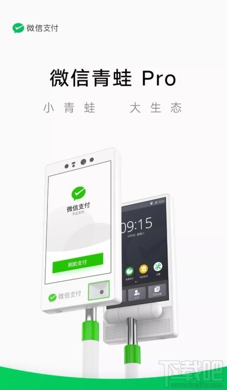 微信青蛙Pro是什么？微信青蛙pro功能作用详情一览