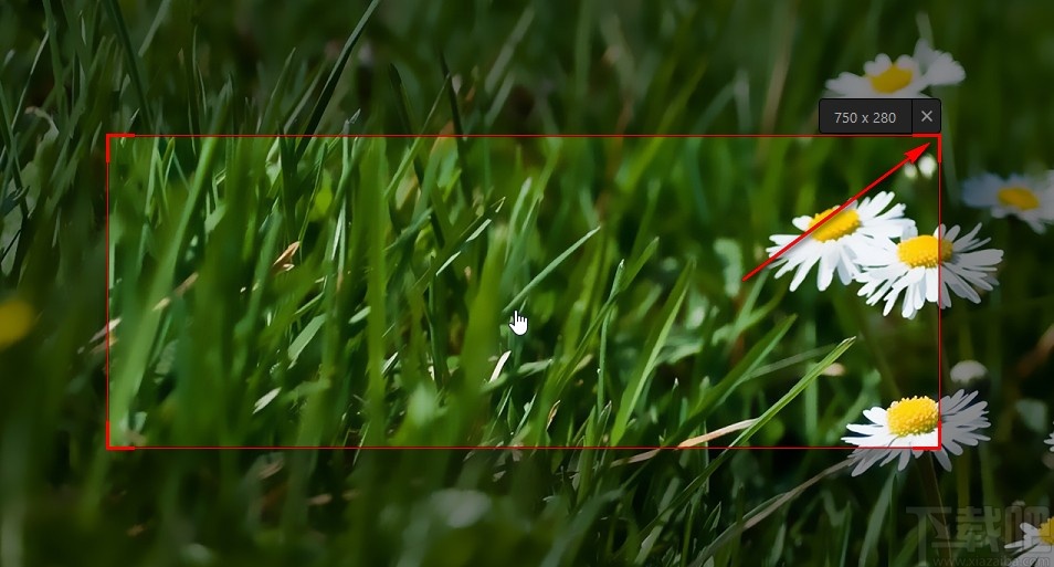 IObit Screen Recorder自定义录制的方法