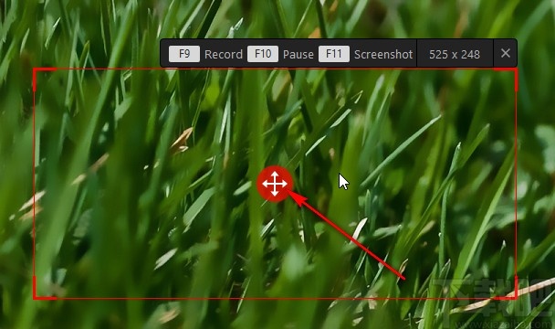 IObit Screen Recorder自定义录制的方法