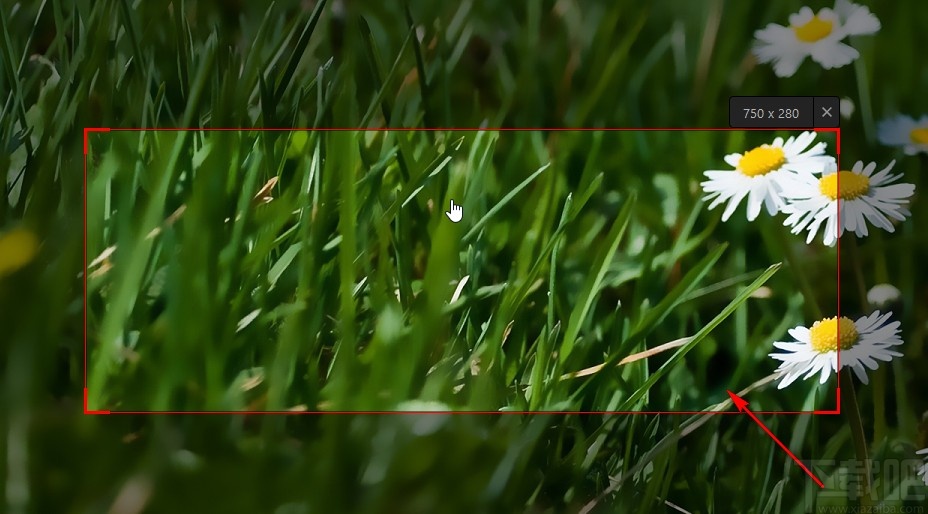 IObit Screen Recorder录制视频的方法