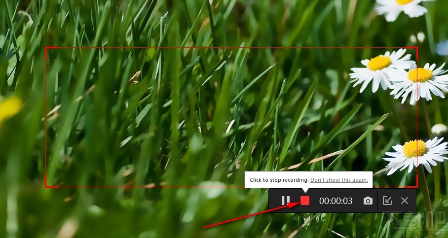 IObit Screen Recorder录制视频的方法