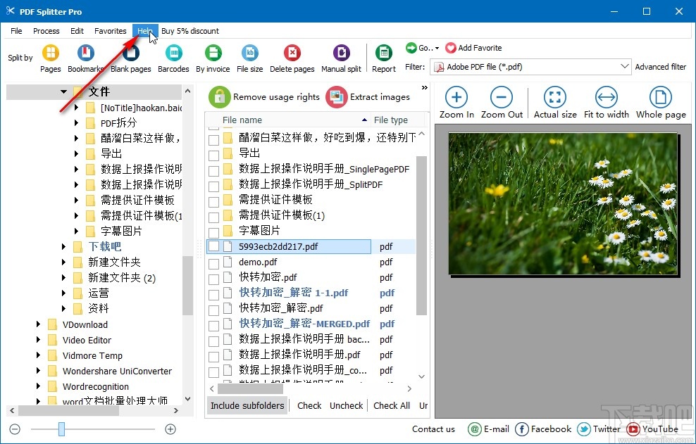 PDF Splitter Pro设置中文的方法