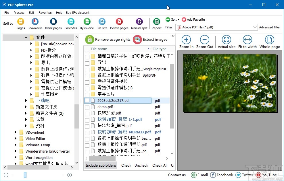 PDF Splitter Pro设置中文的方法