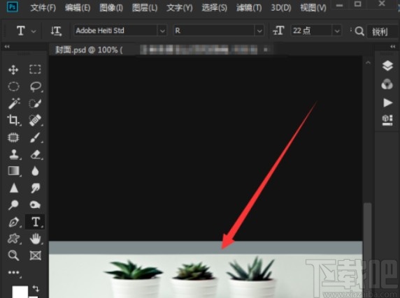 psd recovery free的使用方法