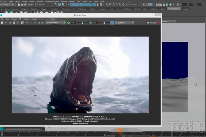 octane使用方法教程