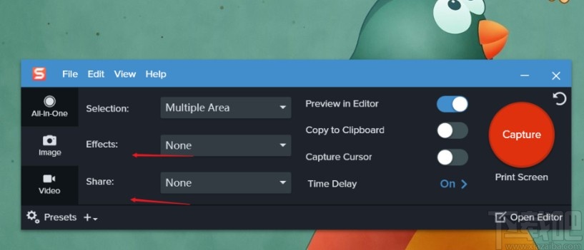 snagit同时截图多个区域的操作方法
