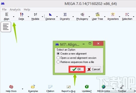 mega7将FASTA文件转为MEGA文件的方法