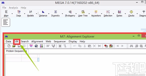 mega7将FASTA文件转为MEGA文件的方法