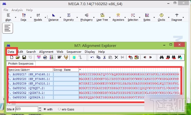 mega7将FASTA文件转为MEGA文件的方法