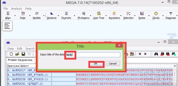 mega7将FASTA文件转为MEGA文件的方法