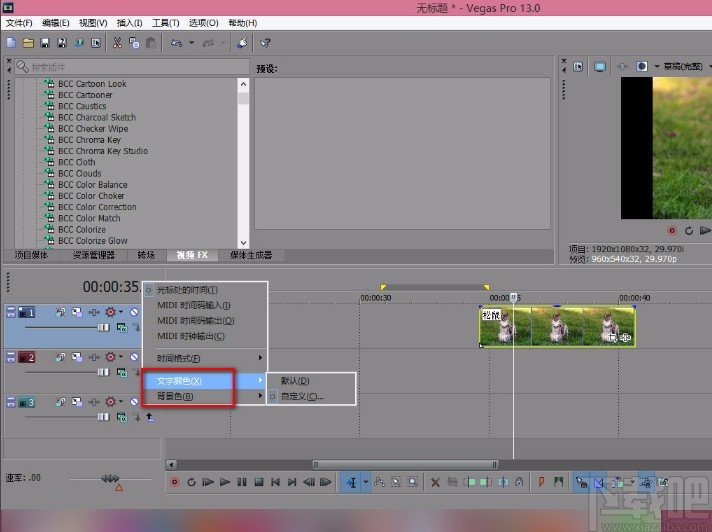 vegas设置标尺的方法