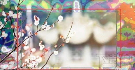coreldraw裁剪图片的操作方法