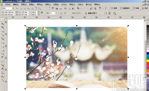coreldraw裁剪图片的操作方法