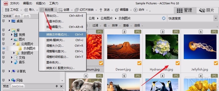 acdsee压缩图片的方法