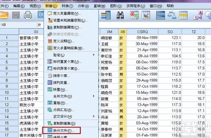 spss分组统计数据的方法