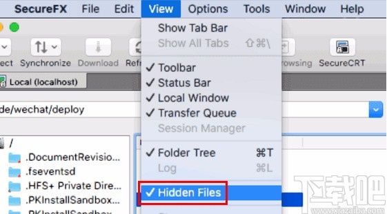 securefx查看被隐藏文件的方法