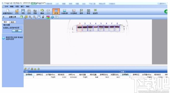 imagelab分析Western Blot条带的方法