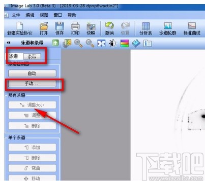 imagelab分析Western Blot条带的方法