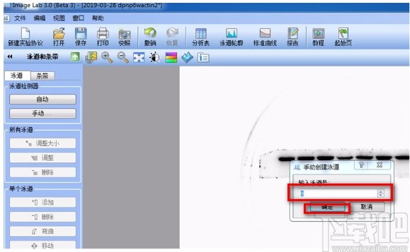 imagelab分析Western Blot条带的方法