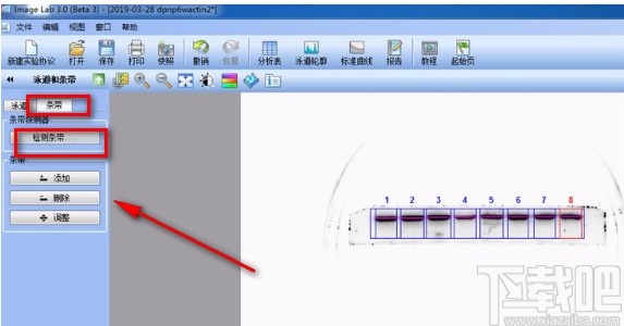 imagelab分析Western Blot条带的方法