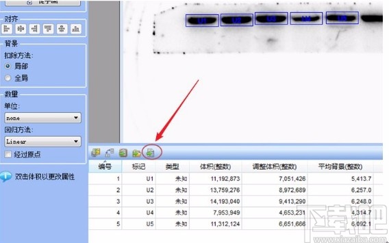 imagelab分析Western Blot条带的方法