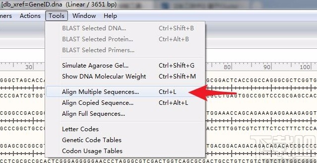 使用snapgene比对序列的方法