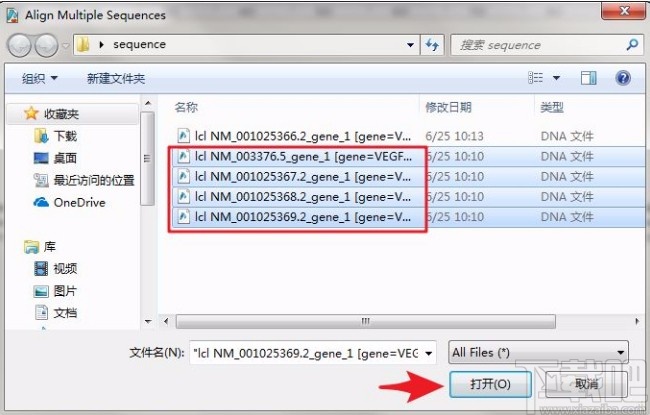 使用snapgene比对序列的方法
