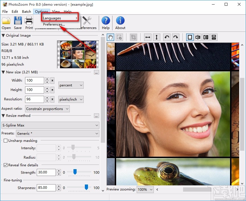 BenVista PhotoZoom Pro设置中文的方法