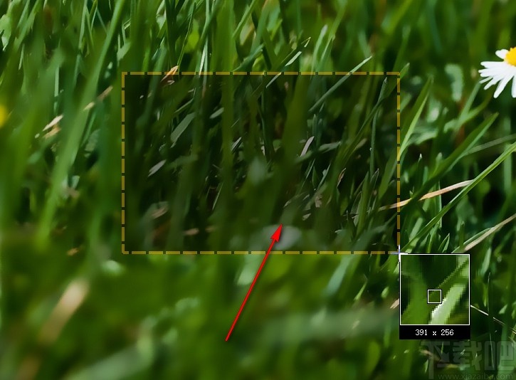 Nimbus Capture截取屏幕图片的操作方法