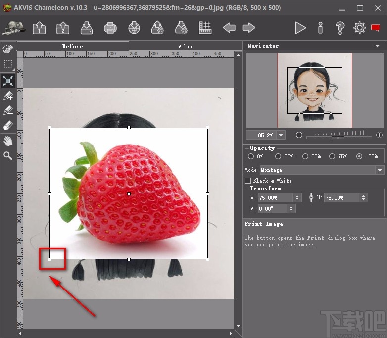 AKVIS Chameleon拼接图片的方法