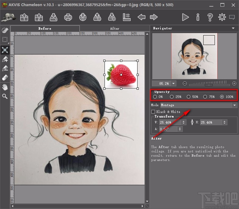 AKVIS Chameleon拼接图片的方法