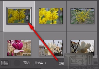 Adobe Lightroom添加关键字的方法