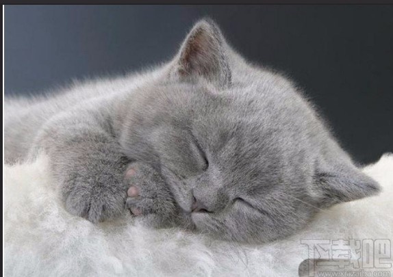 acdsee给图片去水印的方法