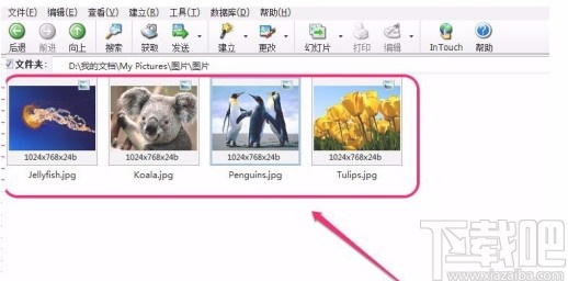 acdsee裁剪图片的方法