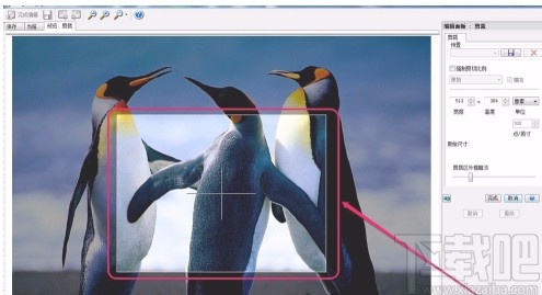 acdsee裁剪图片的方法