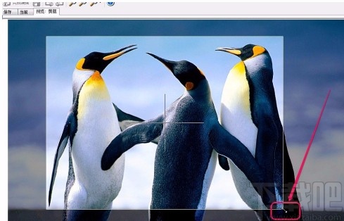 acdsee裁剪图片的方法