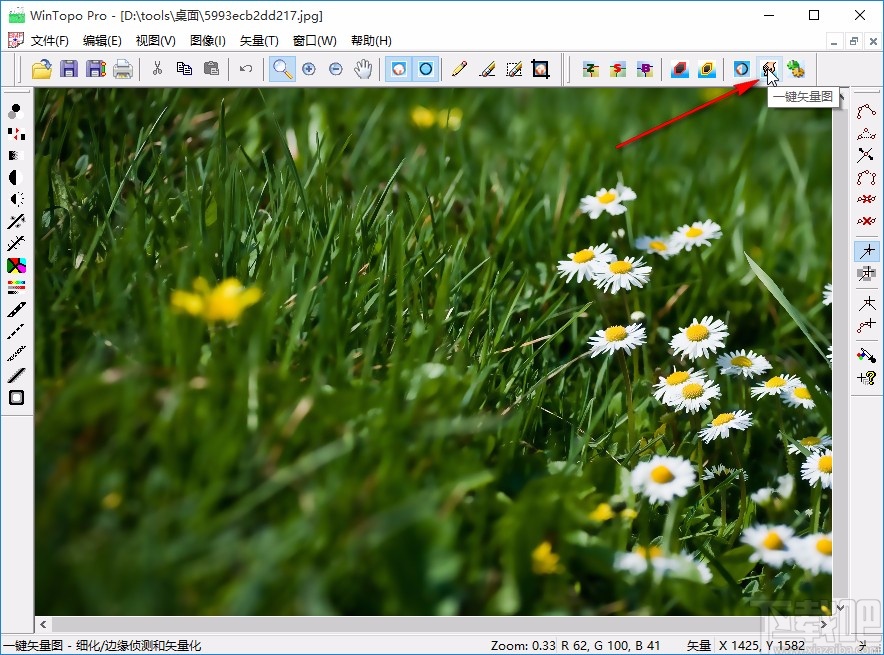 wintopo的使用方法