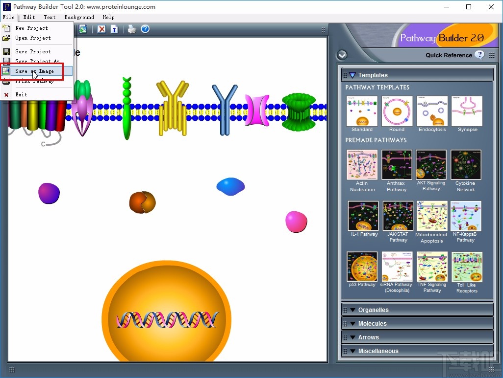 pathway builder tool保存项目为图片的方法