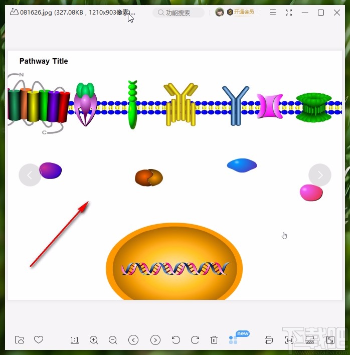 pathway builder tool保存项目为图片的方法