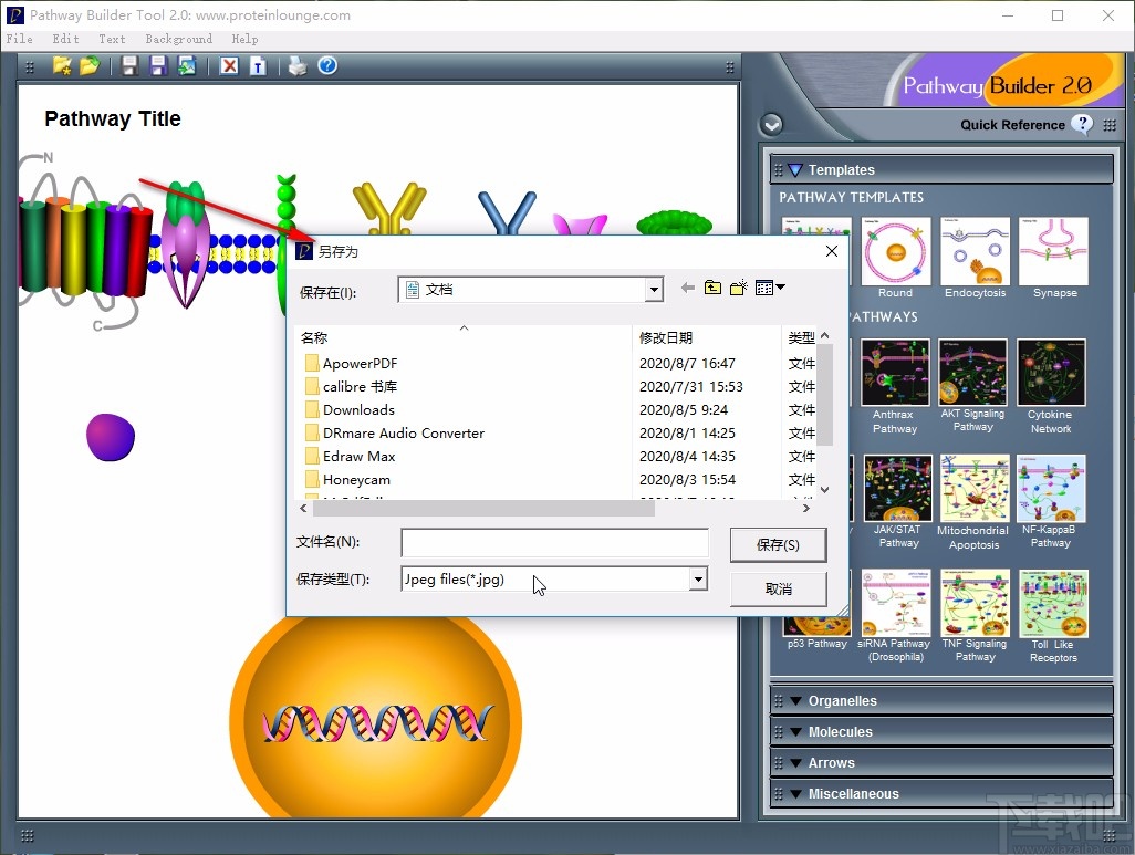 pathway builder tool保存项目为图片的方法