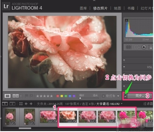 Adobe Light Room批量处理图片的方法