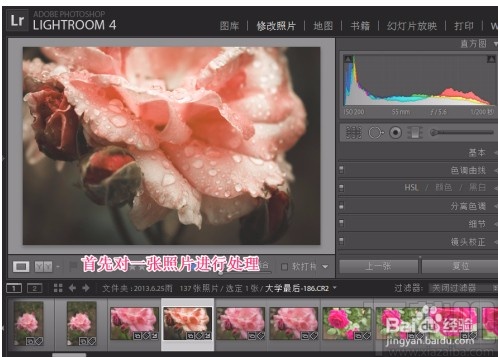 Adobe Light Room批量处理图片的方法