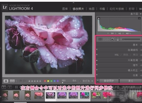 Adobe Light Room批量处理图片的方法