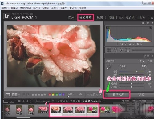 Adobe Light Room批量处理图片的方法