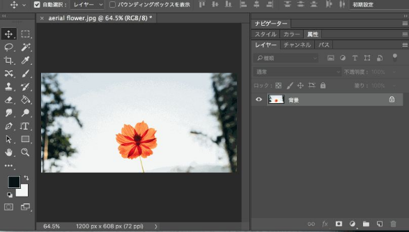 新手必须知道的10个PS操作技巧